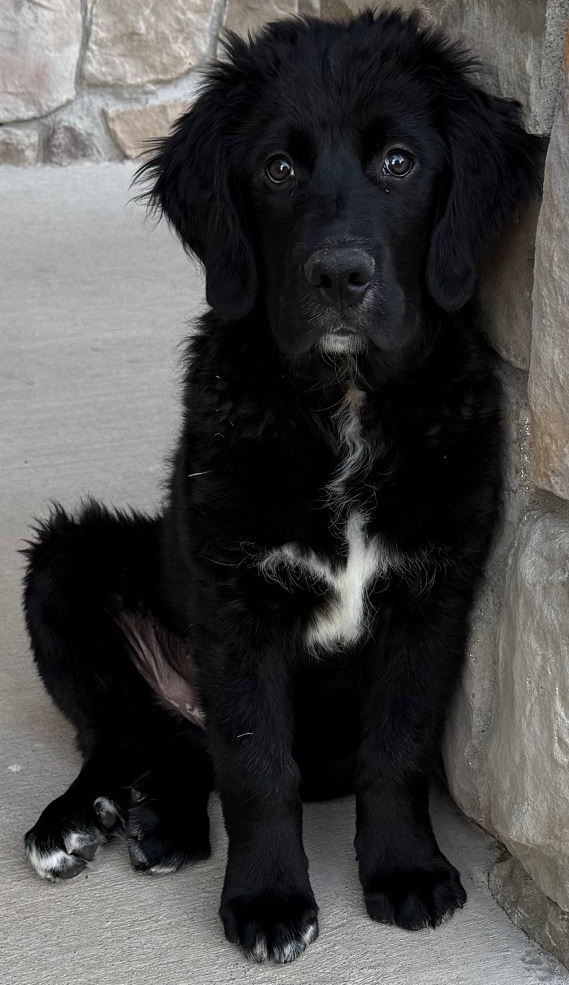 Beau as a toddler